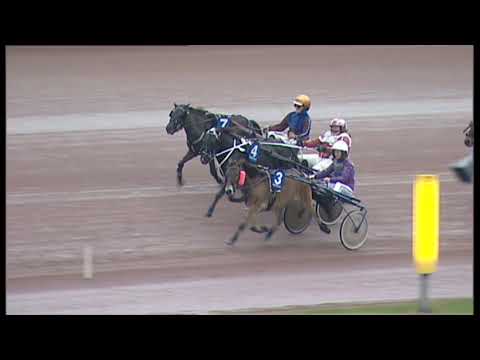 Åbytravet 2020-10-25 Ponny