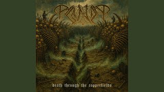 Their Skin Suits Me (Live)