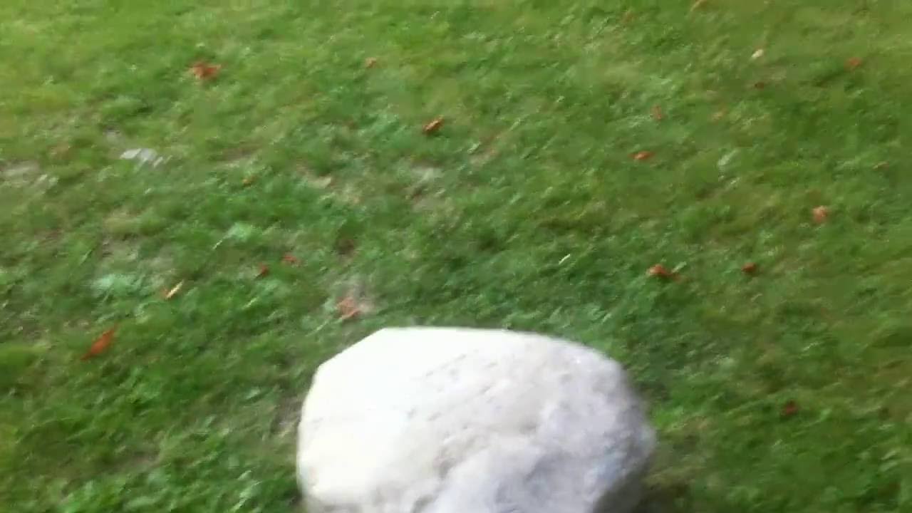 Erweiterung Kunsthalle Bern | Museum für Gegenwart Bern