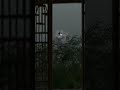 chanda ko taku rato me,jab we met,whats ap status,love song,feeling,night alone sukoon,moonlight