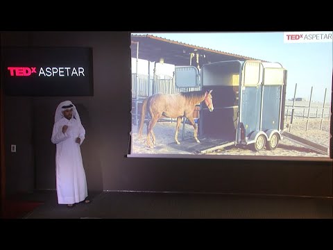 The Four-Legged Mirror How Horses Reveal Truth in Human Leadership | Abdulaziz Dharman | TEDxAspetar Episode cover