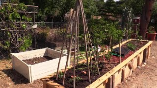 A Budget Tomato Cage and Cucumber Trellis by Do It Yourselfer Home and Garden Guy 2,164 views 2 years ago 8 minutes, 55 seconds