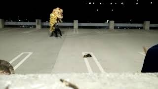 Lion Dance Practice CPP Wealth
