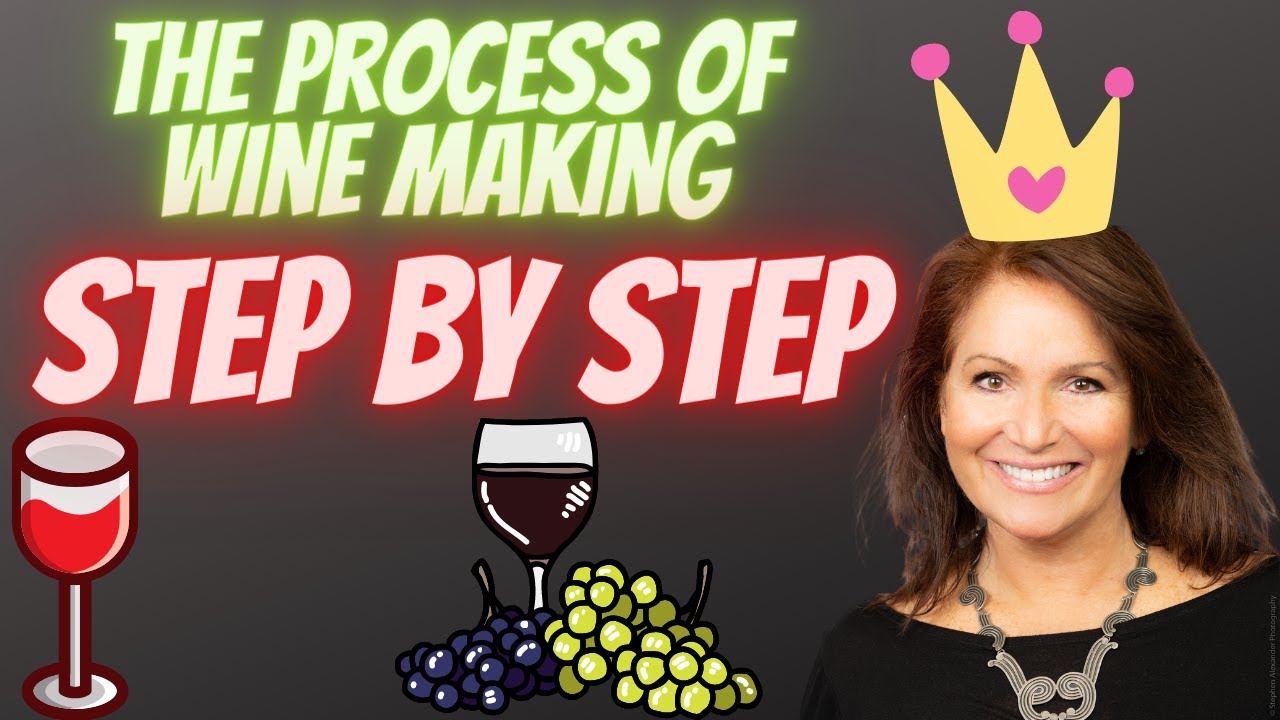 The Process of Wine Making Step by Step YouTube