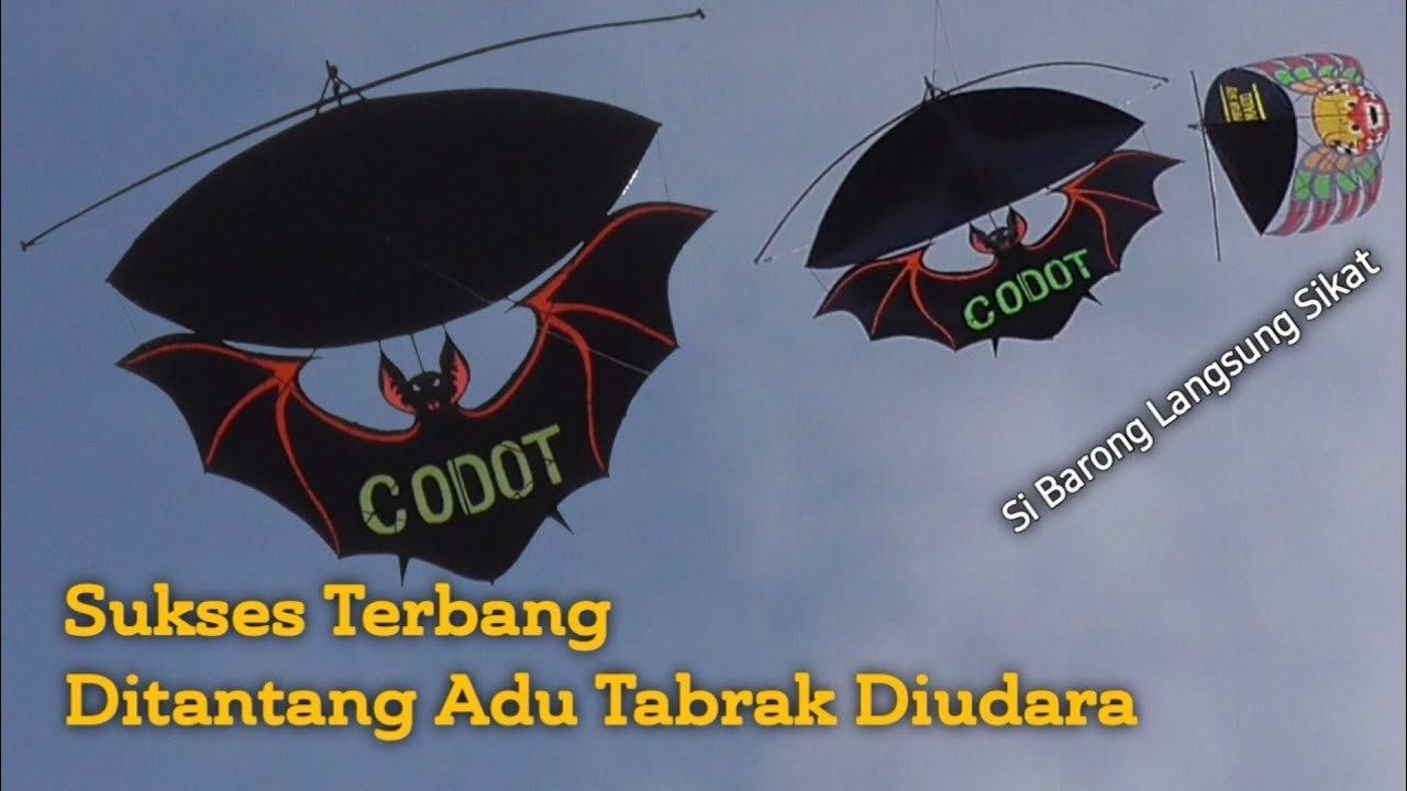 Pertempuran Langit Layangan Codot Super Gila Sukses Terbang di Hadang Barong