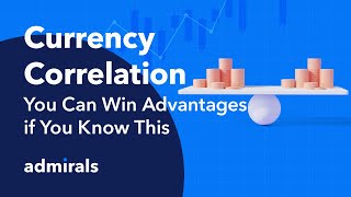 Currency Correlations for Beginners | Trading Spotlight