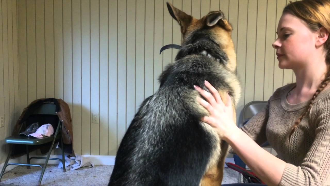 Conditioned Relaxation with Hannah