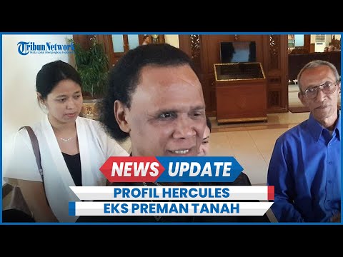 Profil Hercules Eks