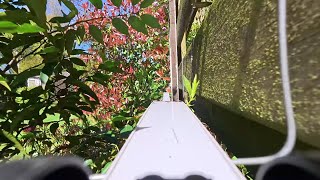 Hotwheels Track Pov | Garden