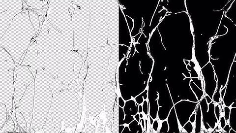 Liquid Splash Stock Motion Graphics