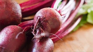 This Is How to Grow, Sell & Harvest Beets Like a Pro!