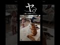 ヤ。ー優しい世界についてー