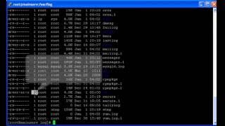 ls -l sample command