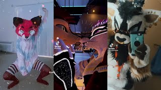 Furry TikTok's That Are Hotter Than This Week's Weather (Furry ThirstTok)