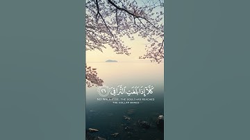 كلا اذا بلغت التراقي| سورة القيامة| القارئ احمد النفيس|