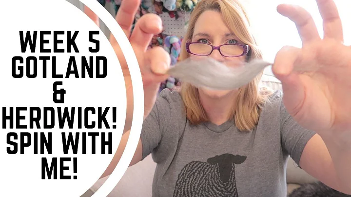 Breed Study Episode 5 - Spinning Sheep Breeds Gotland and Herdwick!