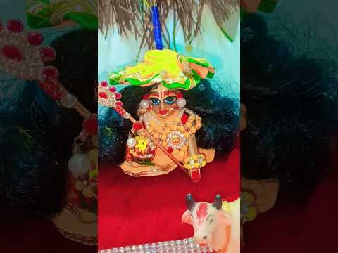 mere Ghanshyam ka darshan Radhe Radhe Jay Shri Krishna suprabhat ♥️🙏🙏♥️♥️