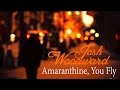 Miniature de la vidéo de la chanson Amaranthine, You Fly