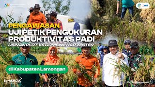 Uji Petik Pengukuran Produktivitas Padi Ubinan Plot vs Combine Harvester di Kabupaten Lamongan