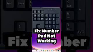 How to Fix Number Pad Not Working on Windows 11 PC or Laptop