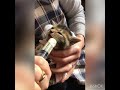 ミルクママ
