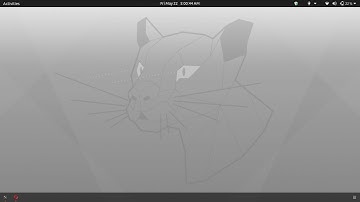Integer Substraction in C using GCC(GNU C Compiler).