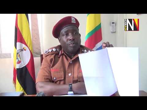 Evening DigitalDigest 19 11 2025