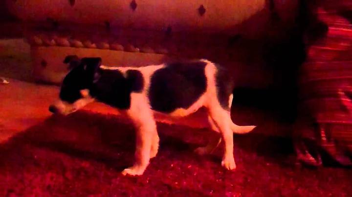 VID00656