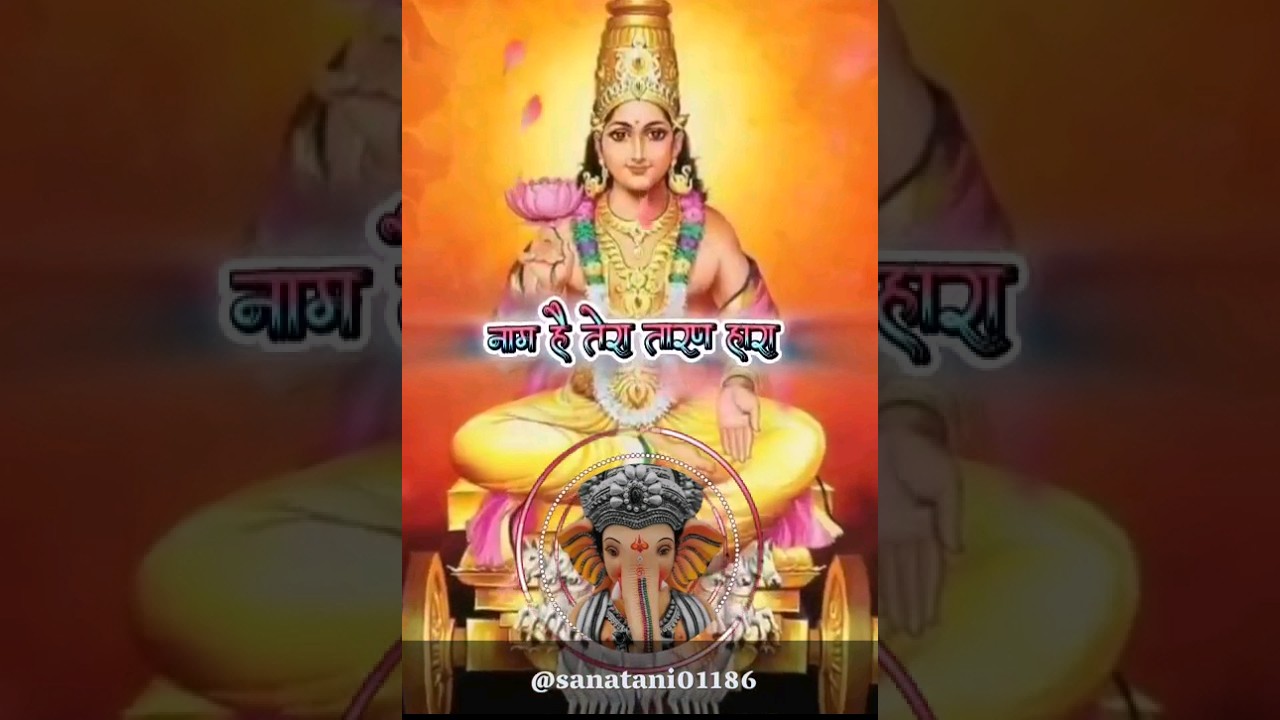 naam hai tera taranhara #bhakti #narayan #trending #trendingshorts #krishna