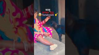 💝Kaloo😃 ANGRYBOY 😠 #funny #viral #short video#viral shorts
