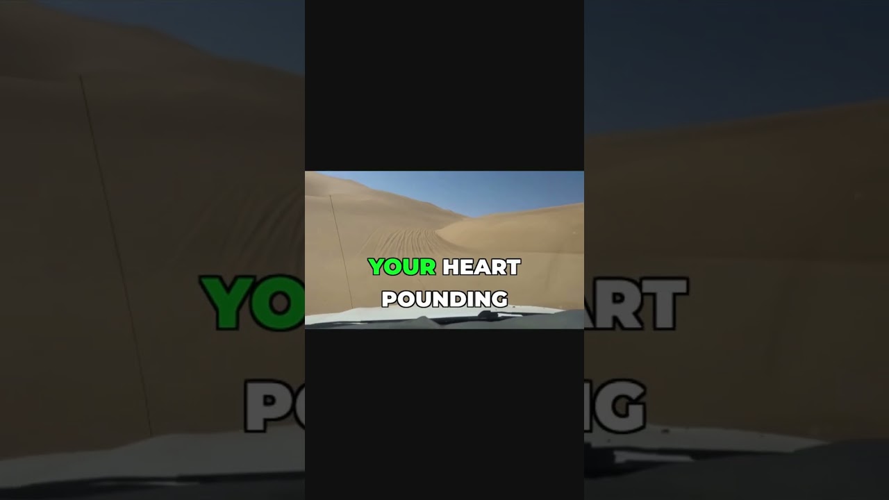 Dune Bashing Dubai's Ultimate Thrill Ride!