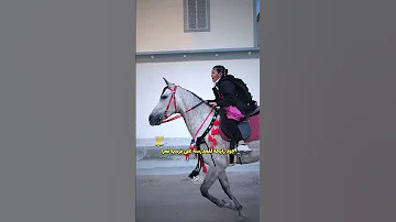 جود بنت رائد طفله راحت للمدرسة على الخيل اكثر من 20 مليون مشاهده ع تكتوك وانستا فرس اصغر خياله 
