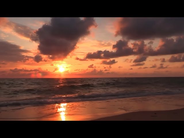 YouTube에서 Nothing Feels Like Home Tralier 보기 YouTube에서 Nothing Feels Like Home Tralier 보기