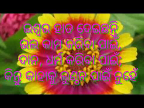 Odia Anabana Video.. Odia Loka Bani ..odia Loka Katha Image Video...chanakya Niti.. By S B For You.