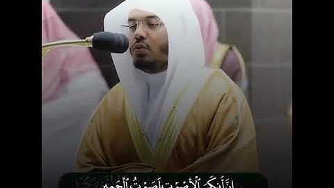 القارئ  ياسر الدوسري | ارح سمعك.. تلاوة هادئة تريح القلب والعقل💙🎧