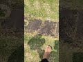 Cuma Jalan di Rumput, Tapi Efeknya Dahsyat! #grounding #rumputalami #taman
