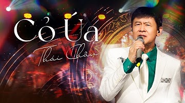 Buồn tận đáy lòng trước bản live CỎ ÚA đầy tâm trạng của Thái Châu | Live in Giao Lộ Thời Gian