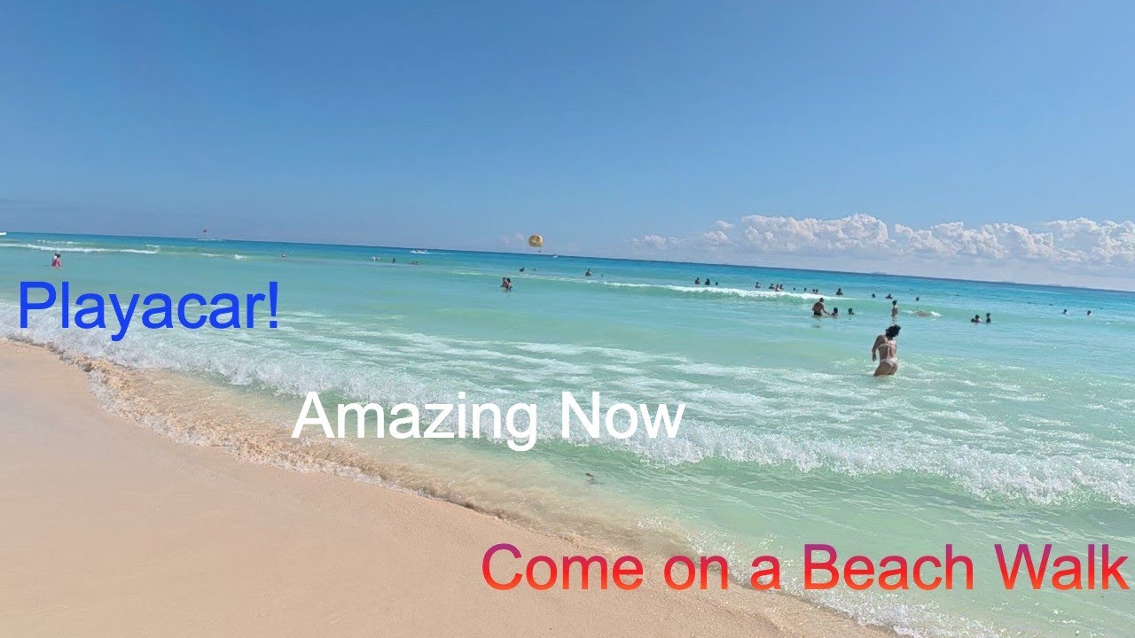 Beach Walk Today November 22nd Playa Del Carmen - A touch of Sargassum