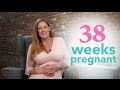 38 Weeks Pregnant - Ovia Pregnancy