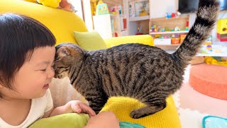 生まれてからずっと一緒の2歳児と猫の仲直りの仕方があまりにも尊過ぎました...。