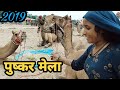 पुष्कर में ऊटौ ने डाला डेरा!!! Pushkar fair 2019!!साचोरी, बाड़मेरी नागोरी ऊंट