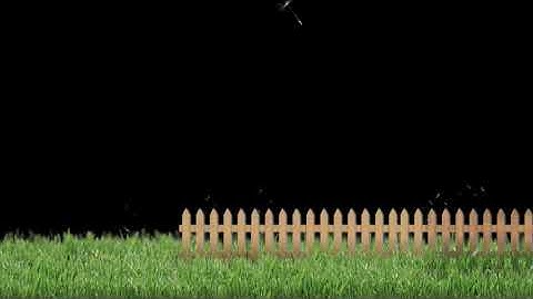 Dandelion Effect Particles