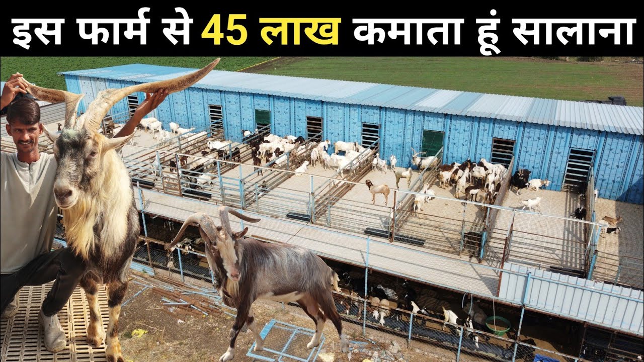गांव में रहकर Goat Farming से लाखों कमाता युवा | 2 मंजिला Goat Farm | Goat Farming | Exotic Goats
