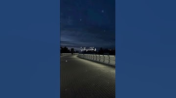 تلاوة هادئة من سورة الزمر 🤍