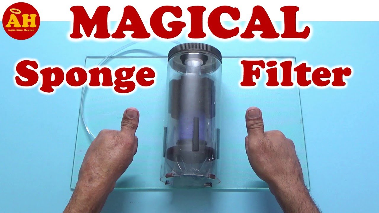 Sponge Filter Magic