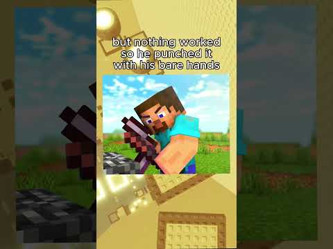 Never Punch Bedrock Like Steve 😭
