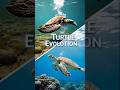 Turtle Evolution Ancient Secrets Revealed 🐢