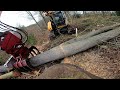 Dicke Eichen fällen | Verkehrssicherung | Wertholz | Teil 09