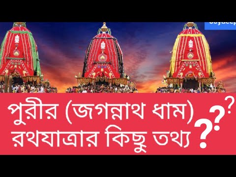 ভিডিও: জেসিকা রথ: জীবনী, সৃজনশীলতা, কেরিয়ার, ব্যক্তিগত জীবন