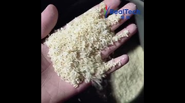 RealTech rice color sorter in a small rice factory with rice mill-rice processing line